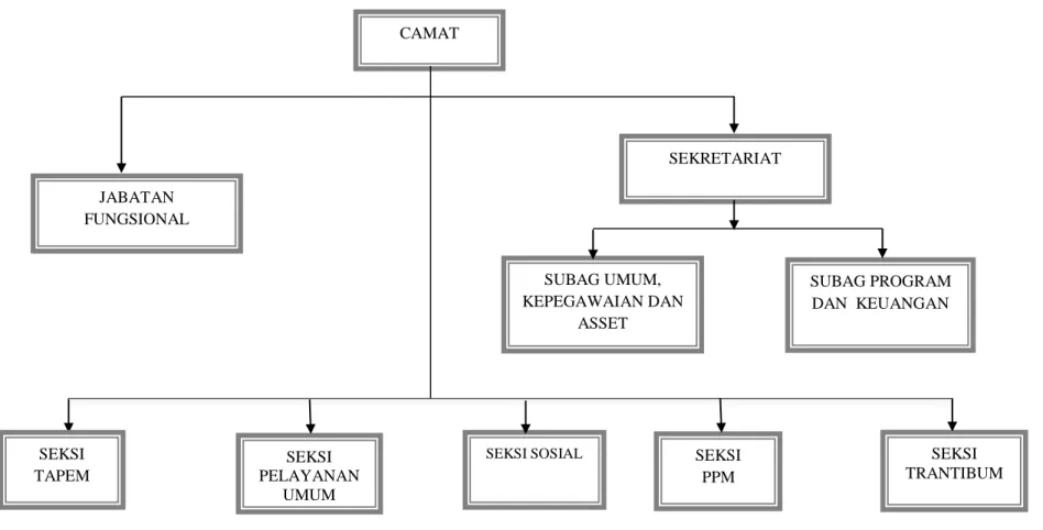 Gambar 2.1 Struktur Organisasi Kecamatan Sumedang Selatan 