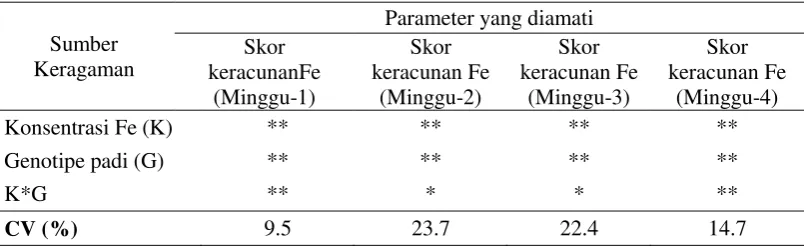 Tabel 4.3.  Analisis ragam pengaruh konsentrasi Fe dalam larutan hara dan genotipe padi  terhadap skor gejala keracunan besi pada tanaman umur 1-4 minggu setelah tanam  