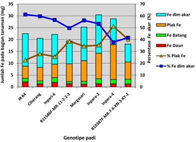 Gambar 4.4.  Proporsi sebaran kadar Fe bagian atas tanaman dan bagian akar pada 8 genotipe padi yang diberi cekaman 325 ppm Fe pada tanaman umur 4 minggu 