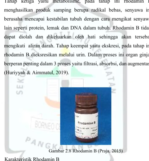 Gambar 2.8 Rhodamin B (Praja, 2015)  2.2.2.  Karakteristik Rhodamin B 