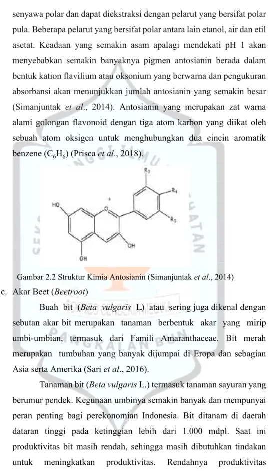 Gambar 2.2 Struktur Kimia Antosianin (Simanjuntak et al., 2014)  c.  Akar Beet (Beetroot) 