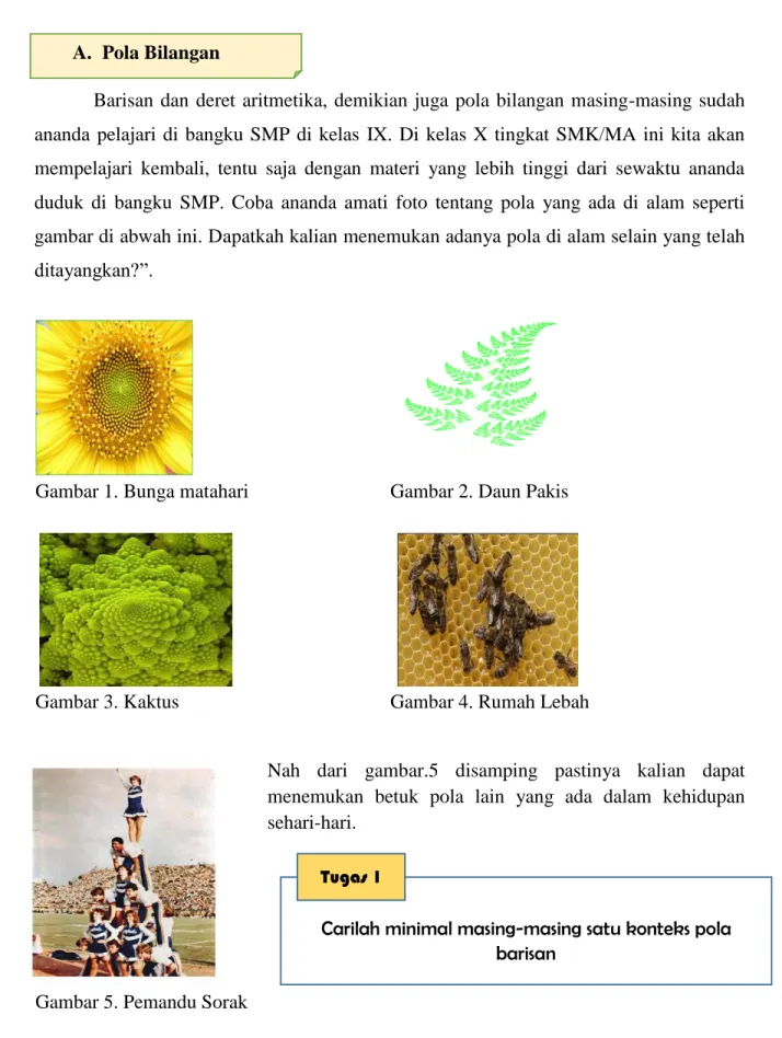 Gambar 1. Bunga matahari  Gambar 2. Daun Pakis 