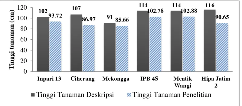 Tabel 3 Nilai rataan tinggi tanaman padi pada 3 MST- 8MST 