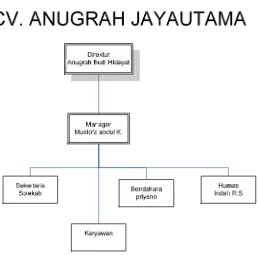 Gambar 2.1 struktur organisasi CV. ANUGRAH JAYAUTAMA