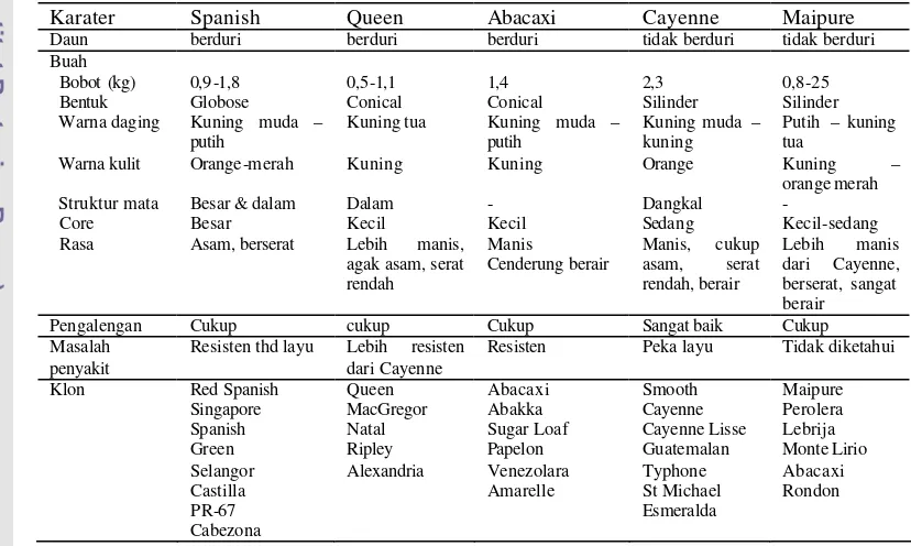 Tabel 1  Karakter  fenotipe 5  kultivar  nenas (Leal dan Soule, 1977 dalam Nakasone dan Paull, 1999)