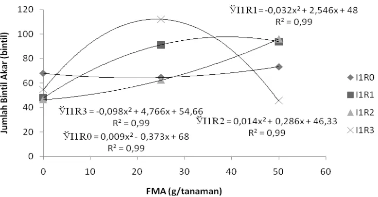 Gambar 4. Hubungan antara jumlah bintil akar dengan dosis FMA untuk berbagai perlakuan Bradyrhizobium pada  perlakuan tanpa isoflavon  
