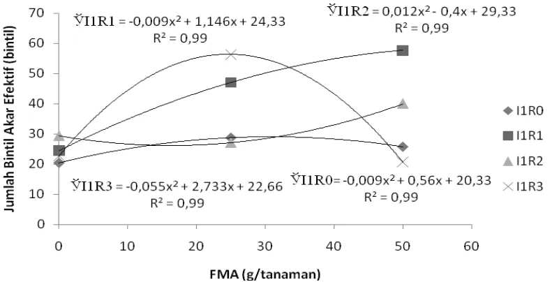 Gambar 6. Hubungan antara jumlah bintil akar efektif dengan dosis FMA untuk berbagai perlakuan Bradyrhizobium  pada perlakuan tanpa isoflavon  