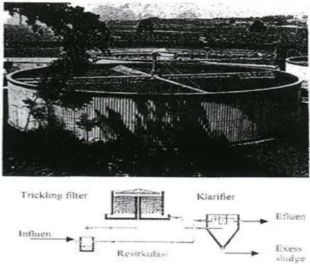 Gambar 2.5 Skema Trickling Filter 
