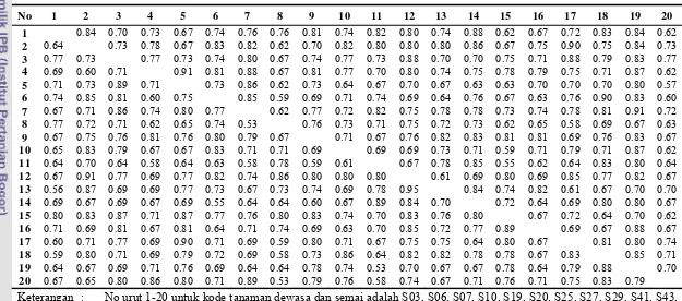Tabel 4.3. Matrik kemiripan genetik di antara 20 tanaman dewasa (di bawah diagonal) dan 20 tanaman semai (di atas diagonal) populasi jati asal Sampolawa 