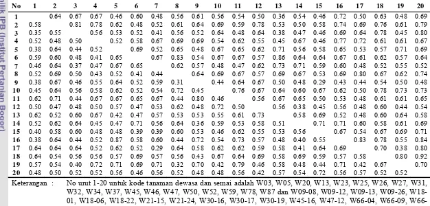 Tabel 4.5. Matrik kemiripan genetik 20 tanaman dewasa (di bawah diagonal) dan 20 tanaman semai (di atas diagonal) populasi jati asal Warangga 