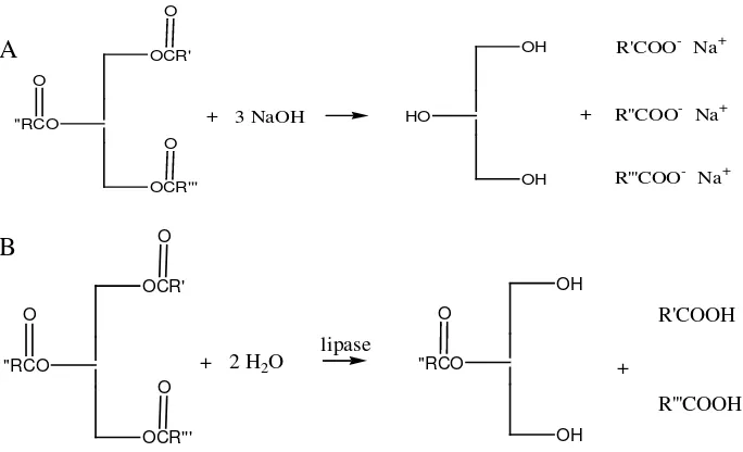 Gambar 2.5 Persamaan reaksi hidrolisis 
