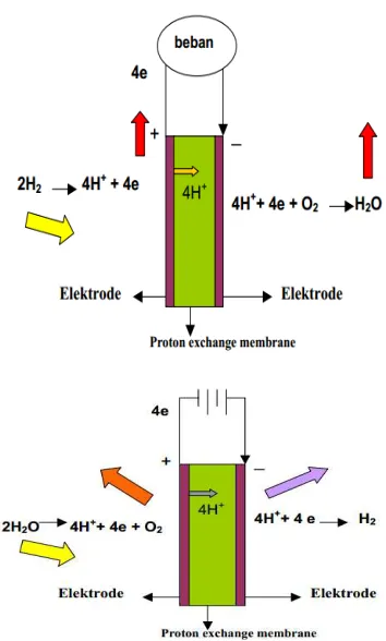 Gambar 2.2 Reaksi Elektrolisis Air Pada PEM 