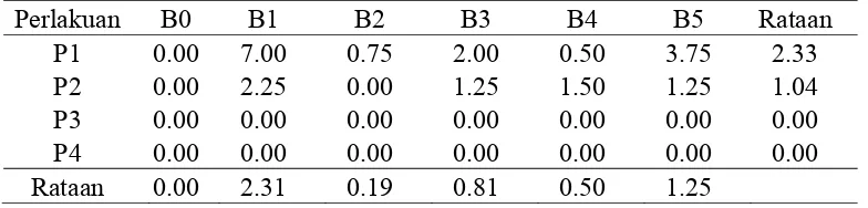 Tabel 1.   Pengaruh Konsentrasi BAP dan Posisi bonggol eksplan terhadap jumlah akar (buah) pada umur 12 MST 