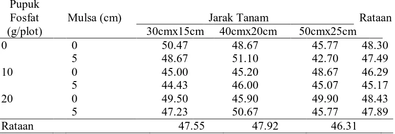 Tabel 2. Jumlah klorofil kedelai (unit/6 mm3) pada perlakuan pupuk fosfat,  mulsa jerami padi dan jarak tanam  Pupuk 