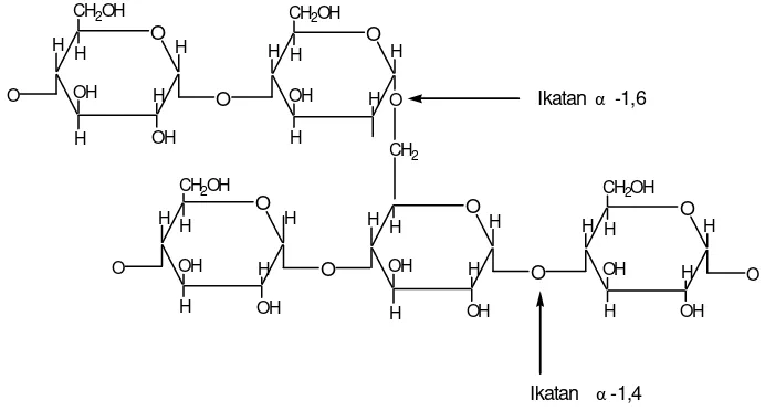 Gambar 1. Struktur rantai linier dari molekul amilosa (Kusnandar, 2010). 