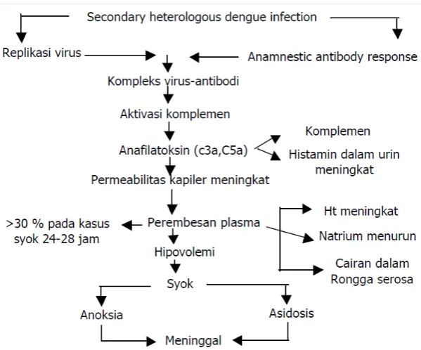 Gambar 2.6 Patogenesis terjadinya syok pada DBD (Depkes RI, 2010) 