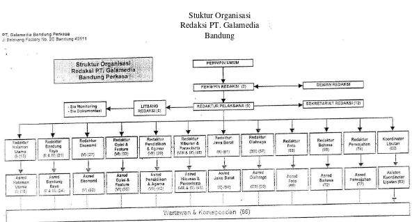 Gambar 1.2 Stuktur Organisasi 
