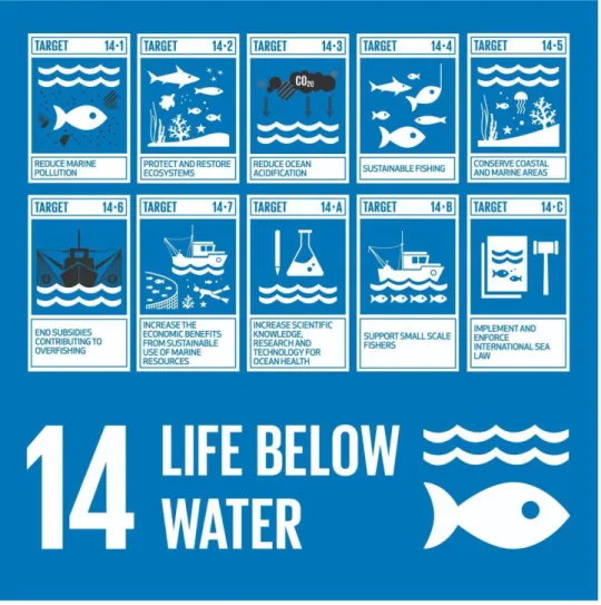 Gambar 2.2 Target SDGs nomor 14 [13]. 