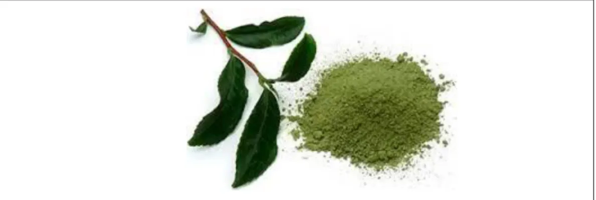 Gambar  3. Green Tea 