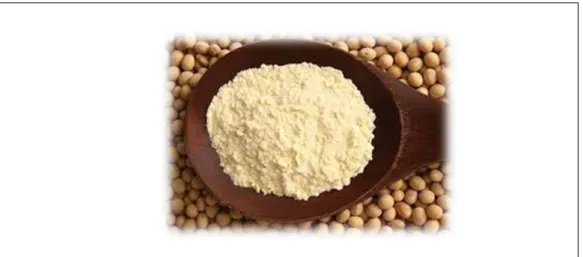 Gambar  4. Soy Powder  2.5. Alkaloid 
