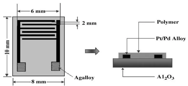 Gambar 2.5 Skematik diagram dari integrasi elektroda [25] 