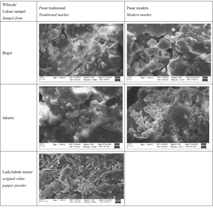 Gambar 2   Hasil SEM dari lada putih bubuk Figure 2. SEM from white pepper powdered