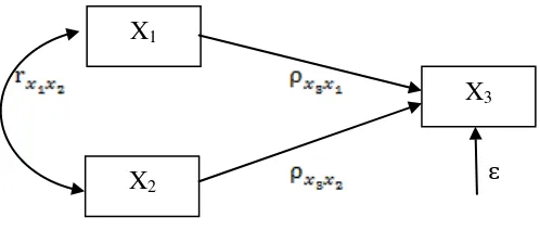 Gambar 2.10 Hubungan Kausal dari X1, X2, X3 