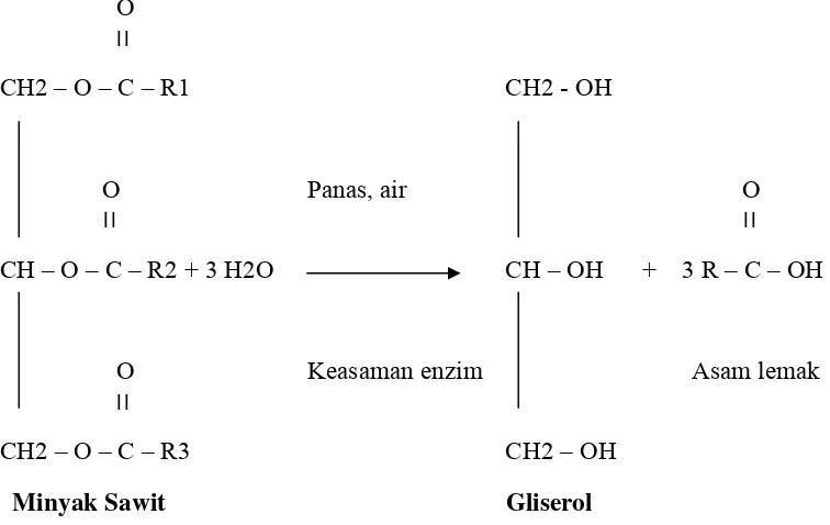 Gambar 2.1. Reaksi Hidrolisis Minyak Sawit 