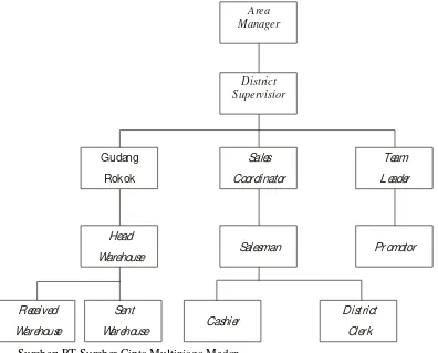 Gambar  2.1 Struktur Organisasi PT Sumber Cipta Multiniaga Medan  