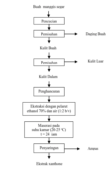 Gambar 4. Diagram alir ektraksi xanthone dari kulit buah manggis (Pebriyanthi 2010) 