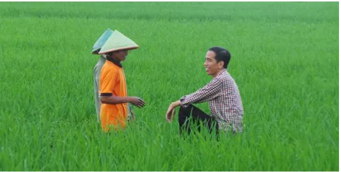 Gambar 4:Jokowi dengan mengenakan kemeja bermotif kotak ‘ngobrol’ dengan petani di sawah