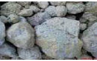 Gambar 3.1 Batu apung 