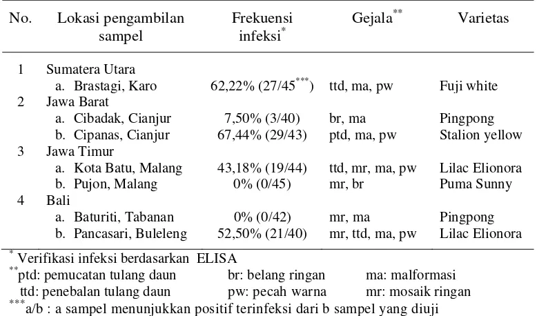 Tabel 1.  Frekuensi infeksi CVB pada sampel tanaman krisan dari sentra produksi krisan di Indonesia 