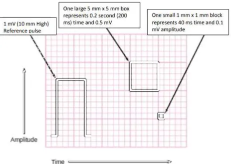 Gambar 2. 4 Kertas Perekam EKG [13] 