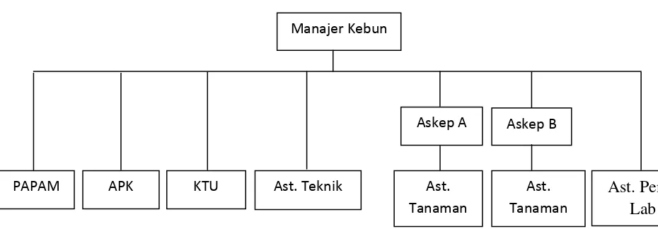 Gambar 2.1. Struktur Organisai  PTPN III (Persero) Medan Kebun 