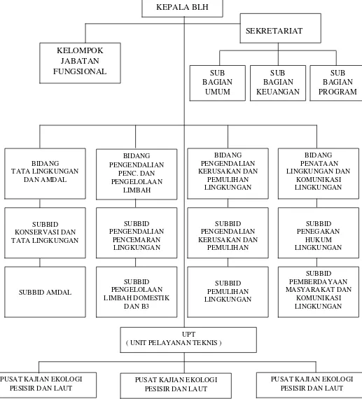 Gambar 2.1 Struktur Organisasi BadanLingkungan Hidup Pemerintah Provinsi Sumatera Utara 