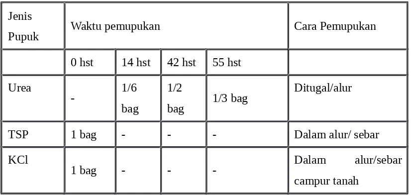 Tabel : waktu dan cara pemberian pupuk anorganik pada pertanaman padi gogo