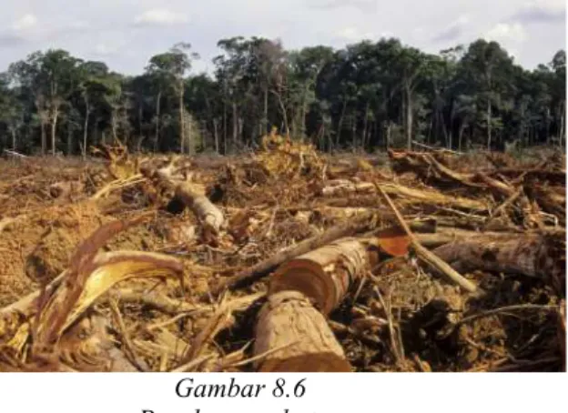 Gambar 8.6   Penebangan hutan  