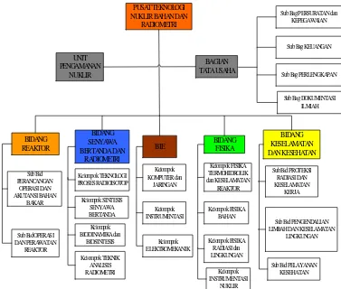 Gambar 3.2 Struktur Organisasi Perusahaan PTNBR-BATAN 