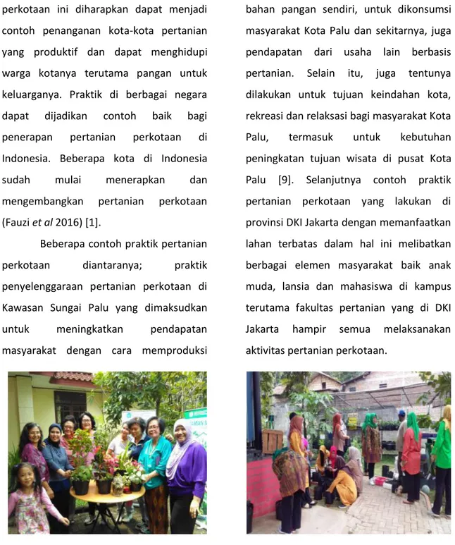 Gambar 1 Praktik pertanian perkotaan dilakukan lansia DKI Jakarta  (Sumber : Universitas Respati Indonesia Jakarta, 2019)  Praktik pertanian  perkotaan  di  DKI 