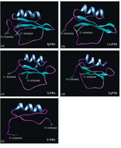 Fig. 2. The comparison of a predicted three-dimensional (3d) model of PR6. (a) P. ginseng PR6 (PgPR6), (b) C