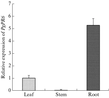 Fig. 3. Expression of PgPR6 gene in leaves, stems, androots of Panax ginseng. Vertical bars indicate the meanvalue ±SE from three independent experiments.