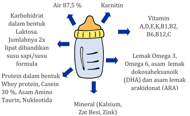 Gambar 3.2. Kandungan ASI. 