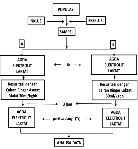 Gambar 3.2. Alur penelitian 