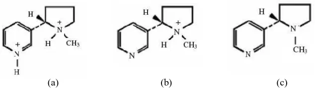 Gambar 3. Struktur molekuler nikotin dalam tiga bentuk. a) diprotonasi, b) monoprotonasi, dan c) basa bebas (Sadat, Vaid, Crrus, dan Yadollah, 2009)