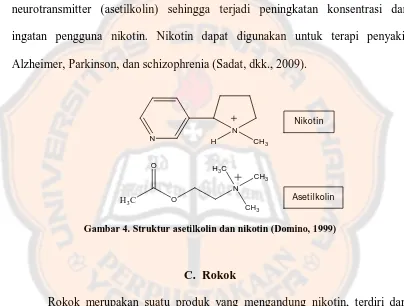 Gambar 4. Struktur asetilkolin dan nikotin (Domino, 1999) 