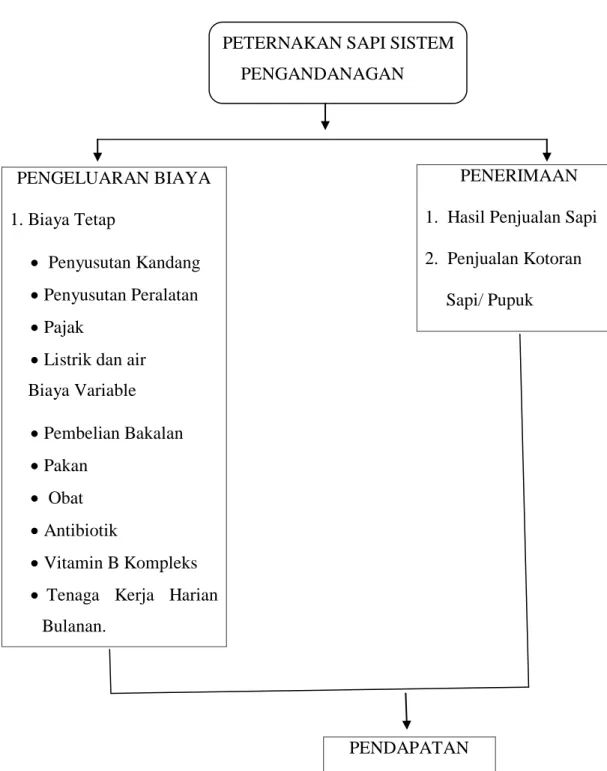 Gambar 1.  Kerangka pikir penelitian analisis pendapatan peternak sapi sistem         perkandangan Kecamatan Somba Opu Kabupaten Gowa 