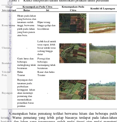 Tabel 1   Kunci interpretasi dalam identifikasi petakan lahan pertanian 
