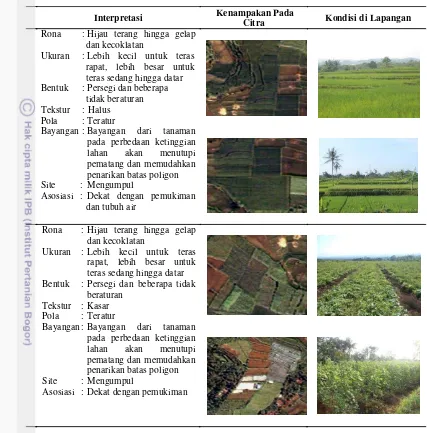 Tabel 3  Kunci interpretasi yang berperan dalam identifikasi penggunaan lahan 