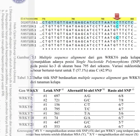 Gambar 3.1 Multiple sequence alignment dari gen WRKY6 pada kelapa 
